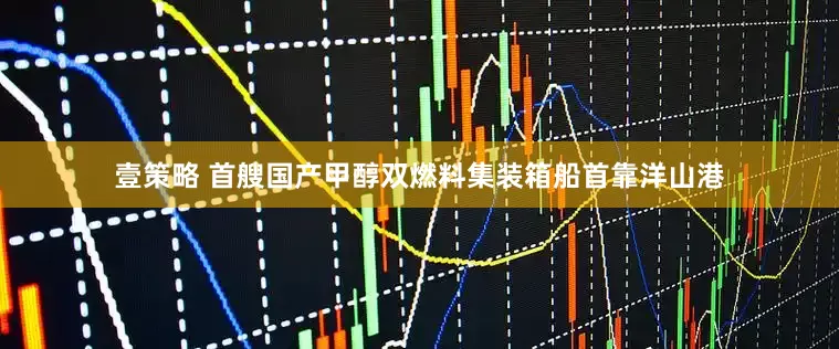 壹策略 首艘国产甲醇双燃料集装箱船首靠洋山港