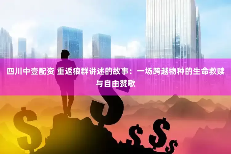 四川中壹配资 重返狼群讲述的故事：一场跨越物种的生命救赎与自由赞歌